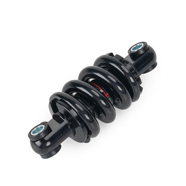 Adjustable Hydraulic Suspension for Daytona